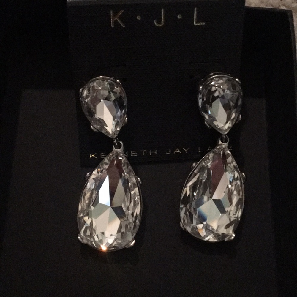 Beautiful earrings. Brand new, never worn